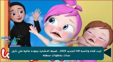 تردد قناة وناسة HD الجديد 2025.. ضبط الإشارة بجودة عالية على نايل سات بخطوات سهلة